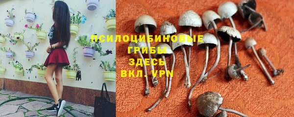 герыч Армянск